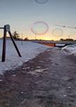 20230117_112435 (Large).jpg (481109 bytes)